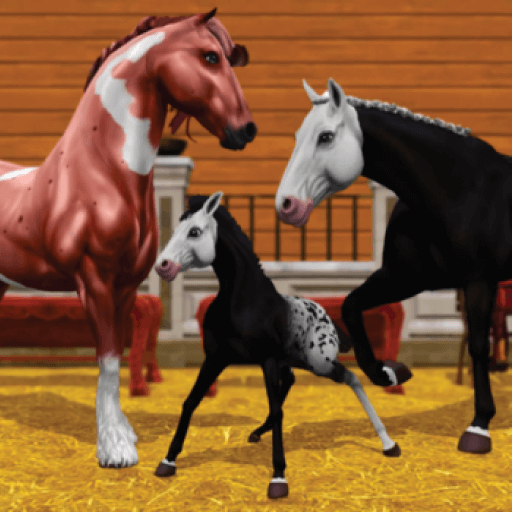 Star Equestrian